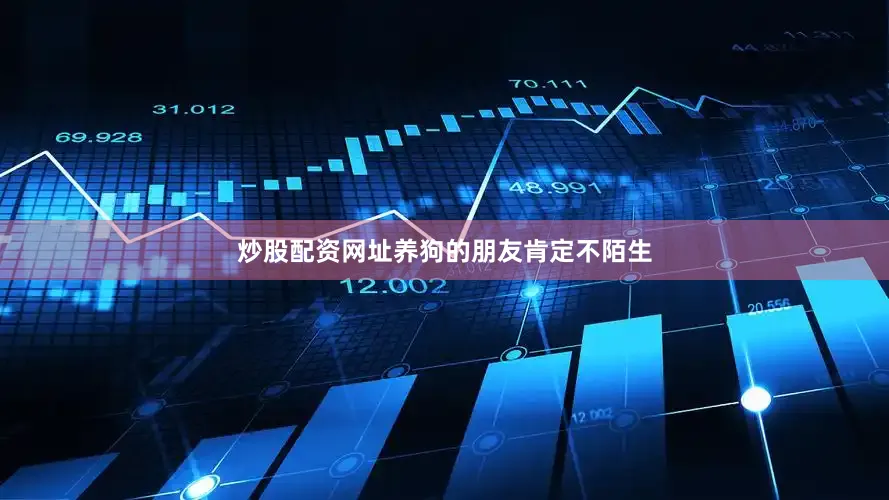 炒股配资网址养狗的朋友肯定不陌生