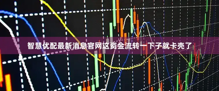 智慧优配最新消息官网这资金流转一下子就卡壳了