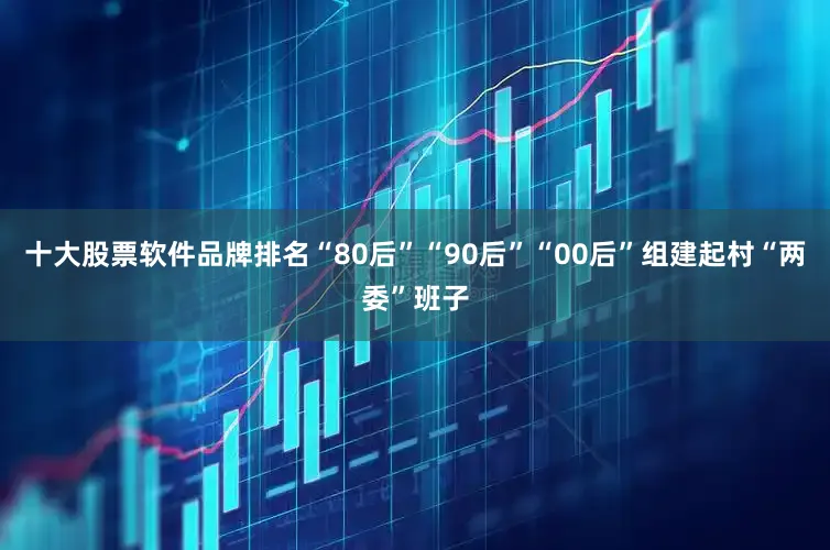 十大股票软件品牌排名“80后”“90后”“00后”组建起村“两委”班子