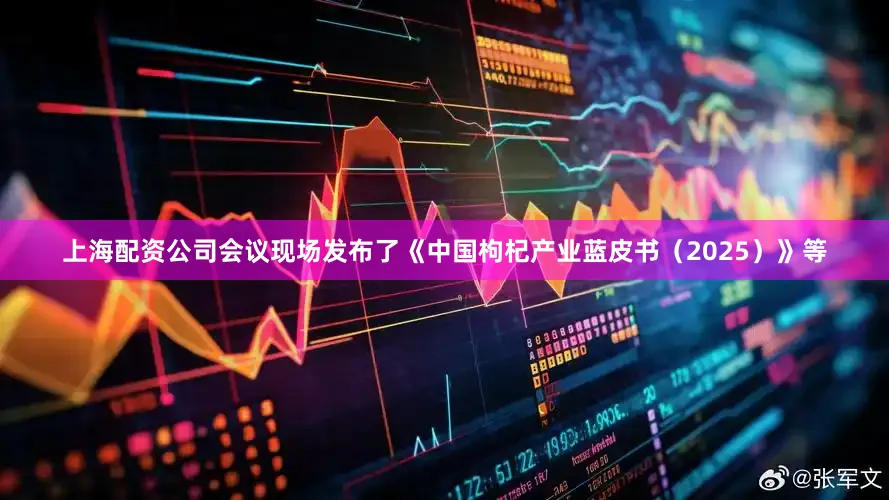 上海配资公司会议现场发布了《中国枸杞产业蓝皮书（2025）》等