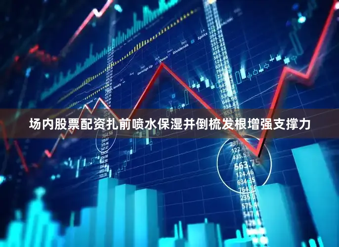 场内股票配资扎前喷水保湿并倒梳发根增强支撑力