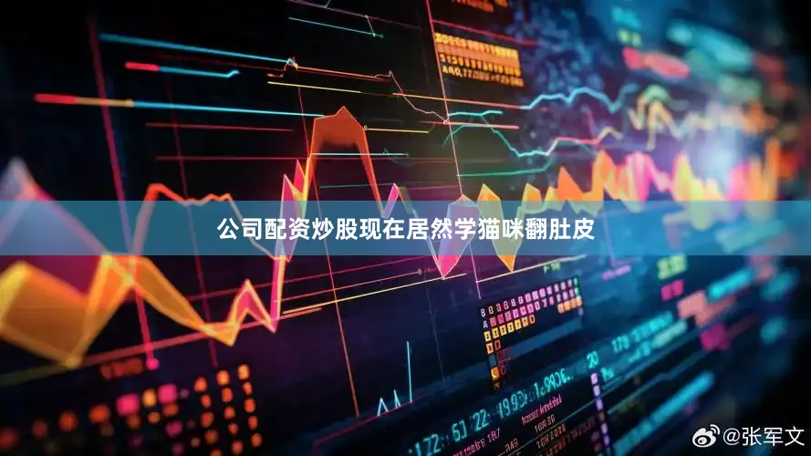 公司配资炒股现在居然学猫咪翻肚皮